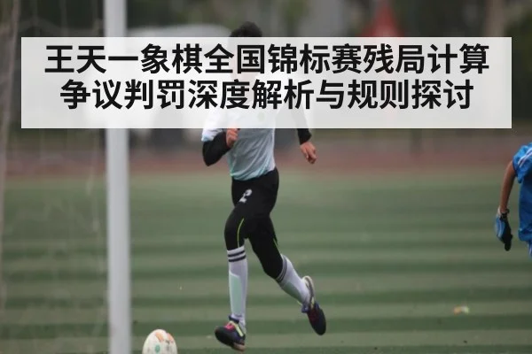 王天一象棋全国锦标赛残局计算争议判罚深度解析与规则探讨